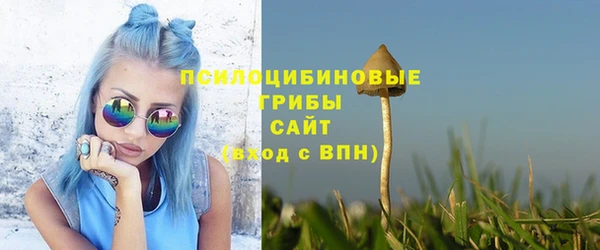 а пвп мука Абаза