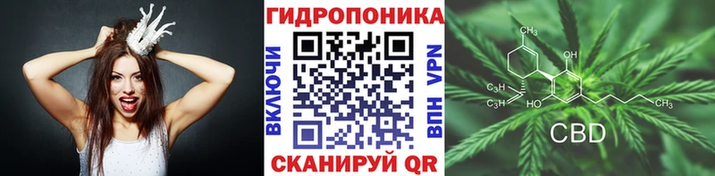 Канабис SATIVA & INDICA  omg tor  Куртамыш 